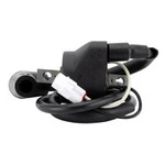 Stator RMS060-105986 External Ignition Coil With Spark Plug Cap. Fixed Price $27.49.