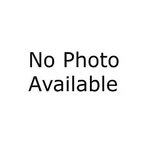 1/2 Stud Long Broached Arp AR3.800-1LB. Fixed Price $10.12.