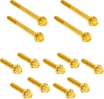 Arlen Ness Titanium Primary Cover Bolt Kit Gold #300-931 Harley Davidson Softail. Fixed Price $134.95.