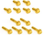 Arlen Ness Titanium Rocker Box Bolt Kit Gold #300-994 Harley Davidson. Fixed Price $125.95.