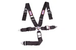 Rjs Black Harness 5 Point, Camlock Sfi 16.1 Pull Down Adjust Bolt-in/wrap Around. Fixed Price $193.61.
