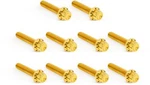 Arlen Ness Titanium Cam Cover/points Bolt Kit Gold 300-988 Harley Davidson. Fixed Price $90.44.