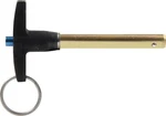 Allstar Performance 60306 Quick Release Pin 5/16IN X 2IN. Fixed Price $48.31.