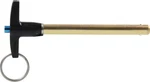 Allstar Performance ALL60312 3/8 In. X Quick Release Pin. Fixed Price $39.00.