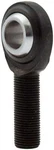 Allstar Performance ALL58070-10. Fixed Price $112.99.