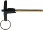 Allstar Performance 60302 Quick Release Pin 1/4IN X 2IN. Fixed Price $37.85.