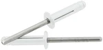 Allstar Performance ALL18185 Md Hd Rivet 250PK Silver Flange Type Mandrel. Fixed Price $46.98.