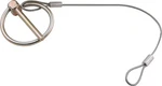 Allstar ALL18462 Torsion Clip - 3/16 In Od 10 Lanyard Steel Yellow. Fixed Price $5.99.