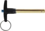 Allstar Performance 60306 Quick Release Pin 5/16IN X 2IN. Fixed Price $39.66.