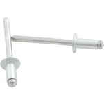 Allstar Performance Sm Hd Rivet Silver 250PK - ALL18107. Fixed Price $15.36.