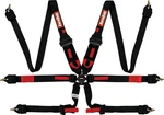Racequip Fia 8853-2016 Rated Pt Camlock Hans Auto Racing Harness Set Pull-down. Fixed Price $281.95.