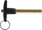 Allstar Performance ALL60312 Quick Release Pin - 3/8 Dia. Long. Fixed Price $22.49.