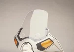 Slipstreamer Replacement Fairing Windshield S-170. Fixed Price $188.59.