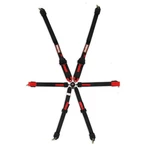 Racequip 855005RQP Harness Hnr/hans 6 Point Camlock Fia Pull Down Adjust. Fixed Price $281.95.