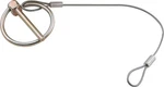 Allstar 18462 Flip-over Clip 3/16IN W/ 10IN Lanyard. Fixed Price $16.77.