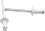 Allstar Performance ALL18107 Sm Hd Rivet Silver 250PK. Fixed Price $14.99.