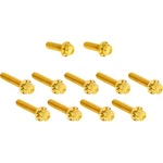 Arlen Ness Bolt Kit Cam Cover/point Titanium 12-POINT Gold 300-982. Fixed Price $106.42.