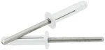 Allstar Performance #ALL18185 Md Hd Rivet 250PK Silver Flange Type Mandrel. Fixed Price $39.99.