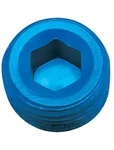 Russell 662070 Allen Socket Pipe Plug. Fixed Price $12.50.