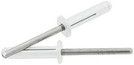 Allstar 18185 Md Hd Rivet 250PCS Silver Flange Type Mandrel. Fixed Price $53.98.