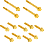Arlen Ness Bolt Kit Primary Cover Titanium 12-POINT Flt Gold 300-928. Fixed Price $149.95.