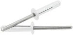 Allstar Performance 18185 Md Hd Rivet 250PK Silver Flange Type Mandrel. Fixed Price $50.80.
