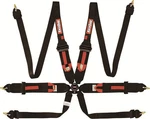 854004RQP Racequip Fia 6 Point Camlock Harness Set. Fixed Price $349.95.