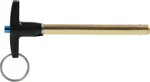 Allstar Performance ALL60308 Quick Release Pin 5/16IN X 3IN. Fixed Price $22.52.