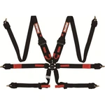 Racequip Rqp 6PT Camlock Harnesses 855005. Fixed Price $281.95.