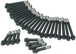 Allstar Performance 87002 Cylinder Head Bolt Kit Bbc 32PCS. Fixed Price $68.95.