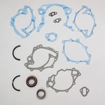 Fel-pro Performance R.a.c.e. Gasket Sets 2709-1. Fixed Price $22.21.