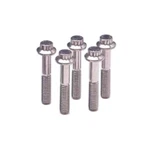 Arp 614-2500 Standard 12POINT Bolt 5PC Stainless Steel 7/16-14 X 2.5 Wrench. Fixed Price $32.18.