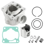 Cylinder Piston Ring For Yamaha 5PA-11311-30-00 5PA-11311-00-0 Bore 47.5MM. Fixed Price $70.00.
